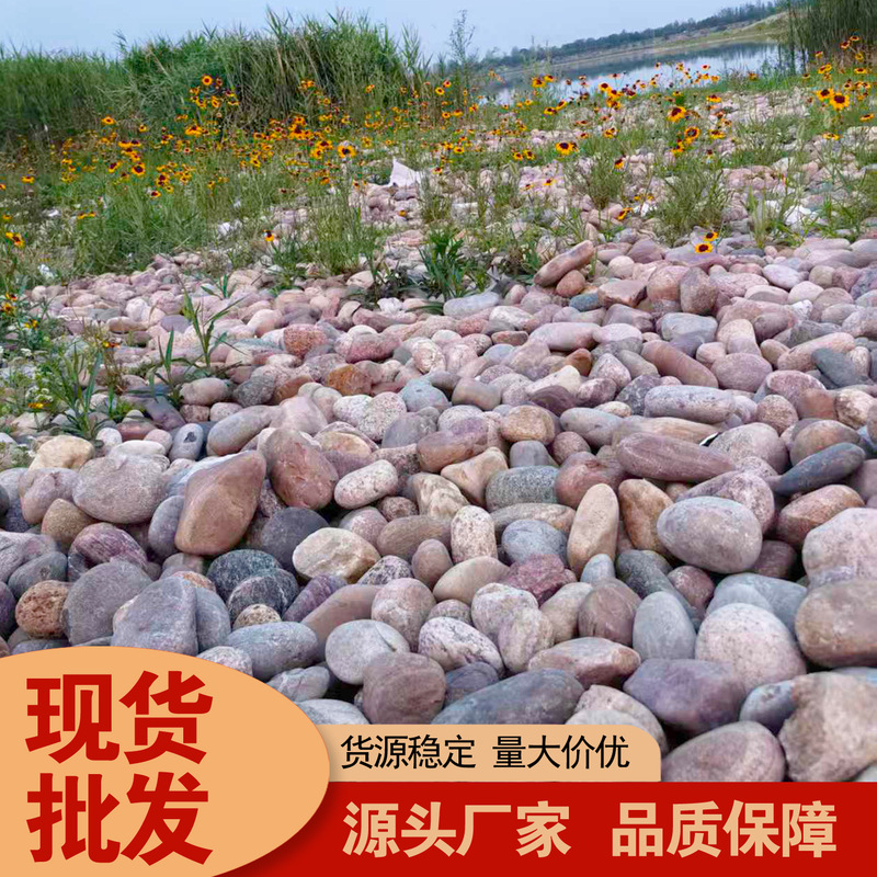 Wholesale Pebbles, Transformer Oil Filter Pebbles, River Pebbles, Garden Paving Stones, Riverbank Management Pebbles Wholesale Pebbles, Transformer Oil Filter Pebbles, River Pebbles, Garden Paving Stones, Riverbank Management Pebbles