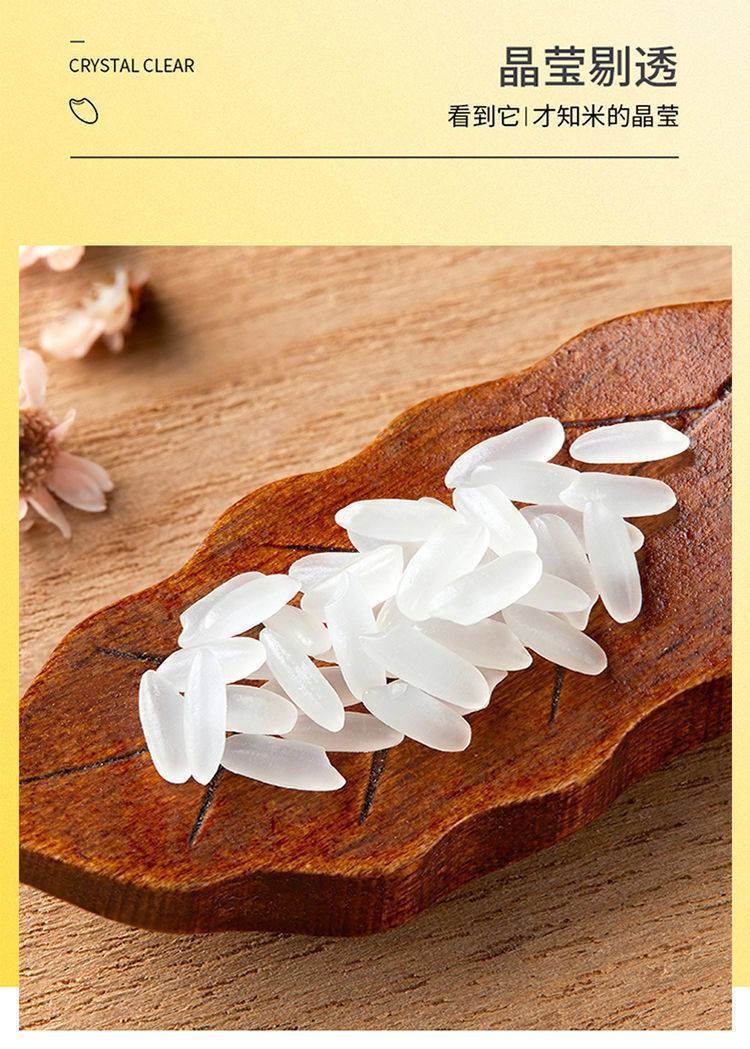 e51048cd-0fe4-4deb-80b9-481bf4ccea27.jpe