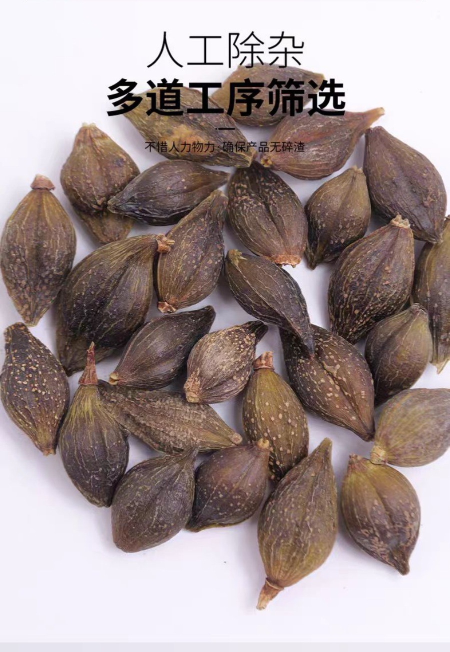 Lian Qiao Powder (Forsythia suspensa) — Dried Food Herb for Tea & Daily Wellness preparation