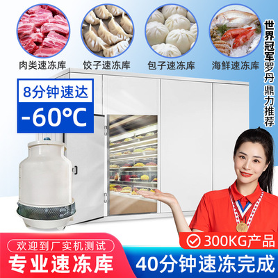 定制速冻库全套设备 大中小型海鲜肉类果蔬食品零下60度速冻库|ms