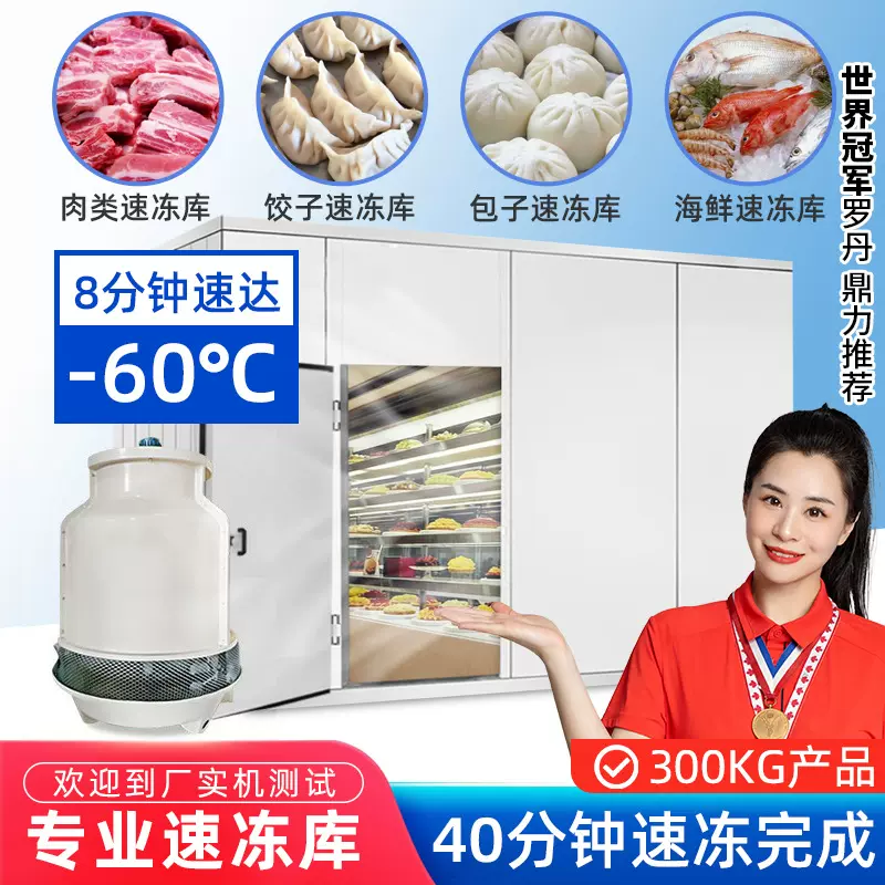 定制速冻库全套设备 大中小型海鲜肉类果蔬食品零下60度速冻库