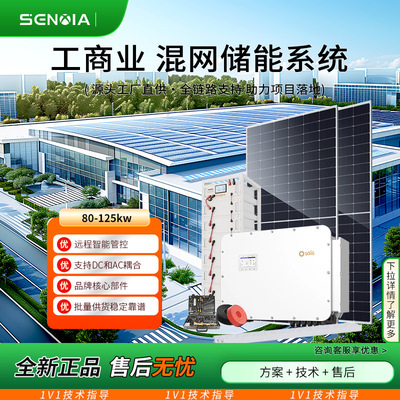 [工商业80-125kw混网三相高压工商储能系统太阳能光伏发电大功率]
