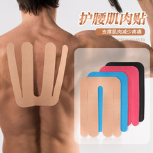 �米�o��͸���A�����\�Ӯ��Ώ������N�����\�Ӽ���Ч�N��