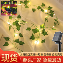 LED����G�~�ٗl���� ����ͥԺ��c�����������b�̫����~���ʟ�