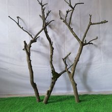 干树枝杈艺术干枝枯枝枯木树干鸟架造型壁挂衣架吊顶树枝装饰枝条