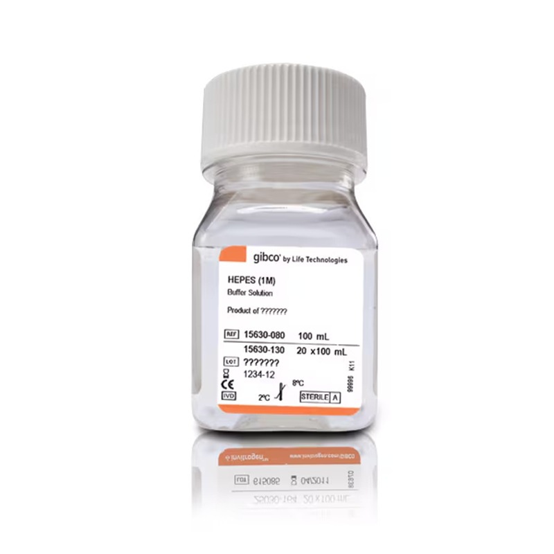 15630080赛默飞HEPES (1 M)染色质生物学哺乳动物细胞培养Thermo