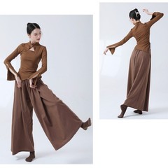新しい中国式の古典的なダンスの練習服の女性の長袖のダンスの服はチャイナドレスの襟の透かし彫りの現代のダンスの上着を改良します。