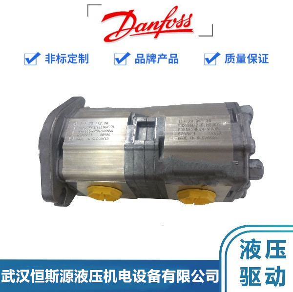 丹佛斯齿轮泵SNP2NN/022LN01DAP1F5F4NNNN/NNNNN
