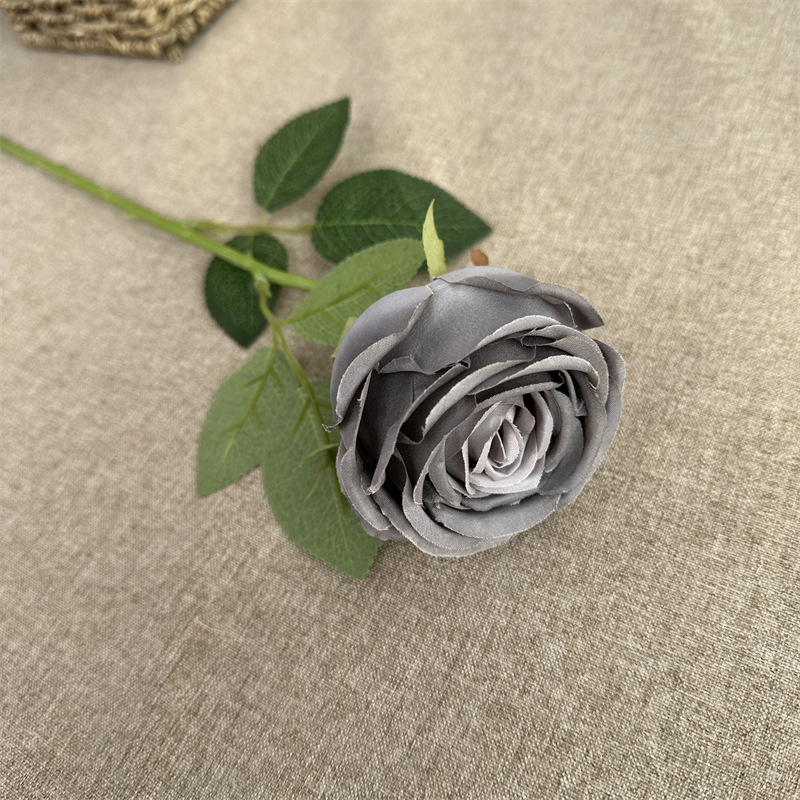 Single french rose gray