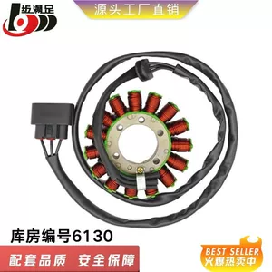 S1000Rr motosiklet maqneto generator bobini 12318553990 aksesuarları