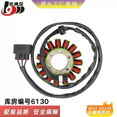 Suitable for S1000Rr Motorcycle Magneto Generator Coil 12318553990 Accessories (Alovlanma bobini (Babinalar))