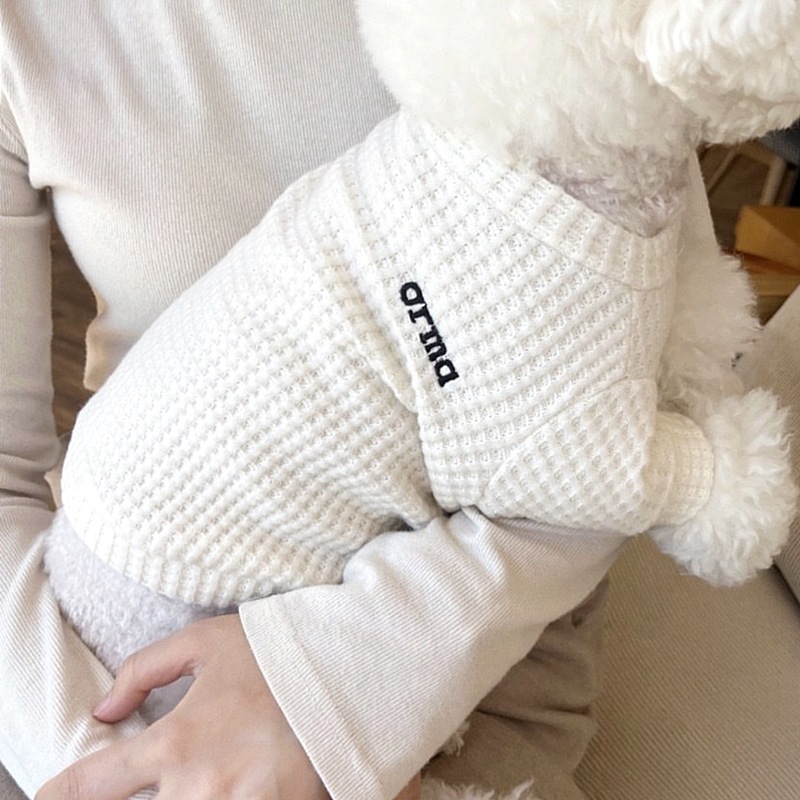 Perro coreano de otoño y invierno simple casual waffle tracción camiseta de base de dos patas Teddy gato ropa de perro