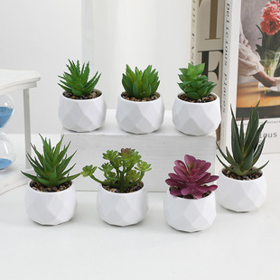 Simulated Succulents DIY Decoration Simulated Phalaenopsis Set Potted Plants Cross-Border Home Decorations Simulated Floral Art