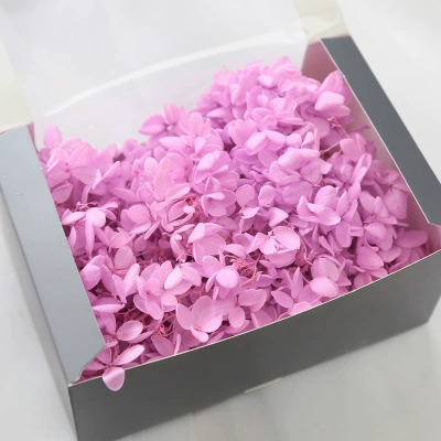 Вечной жизни глиняный горшок гимнастика 20G День Святого Валентина DIY цветочный материал Средняя лотос Строка Производитель оптом большой объем