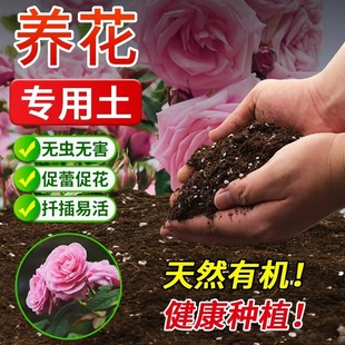 �I�B��ͨ����40���B���Gֲ�Nֲ�������@ˇ�����ЙC�N�ˌ���������