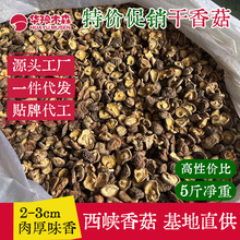 批发西峡高品质干香菇5斤净重 头茬好香菇干货新货黄焖鸡煲汤火锅