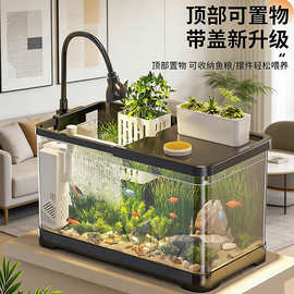 鱼缸客厅家用生态金鱼缸造景过滤制氧一体式办公室桌面高透乌龟缸