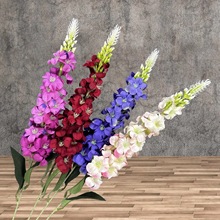 ������~�݆�֧�L���ӻ�Y�Ҿ��b������_�m�ֹ��ٻ��[�����l