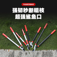 剪枝剪刀果树修枝修剪树枝修枝剪树枝园林大强力修树枝大力粗枝剪