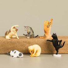 6���٤؈���k ������ͨ����С؈���٤�󎟹�����ߔ[��