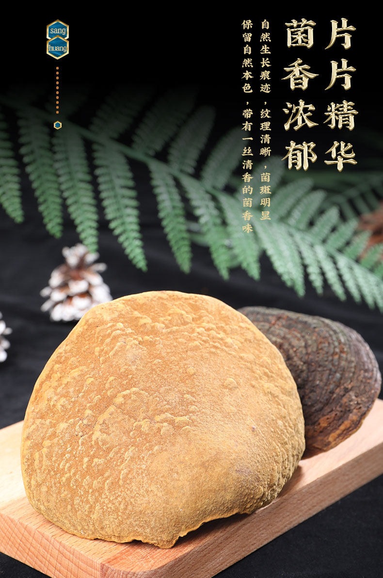 Sang Huang Mulberry Yellow Phellinus Mushroom with Ling Zhi Slices Herbal Tea Set 125g Plus 40g Jars specifications