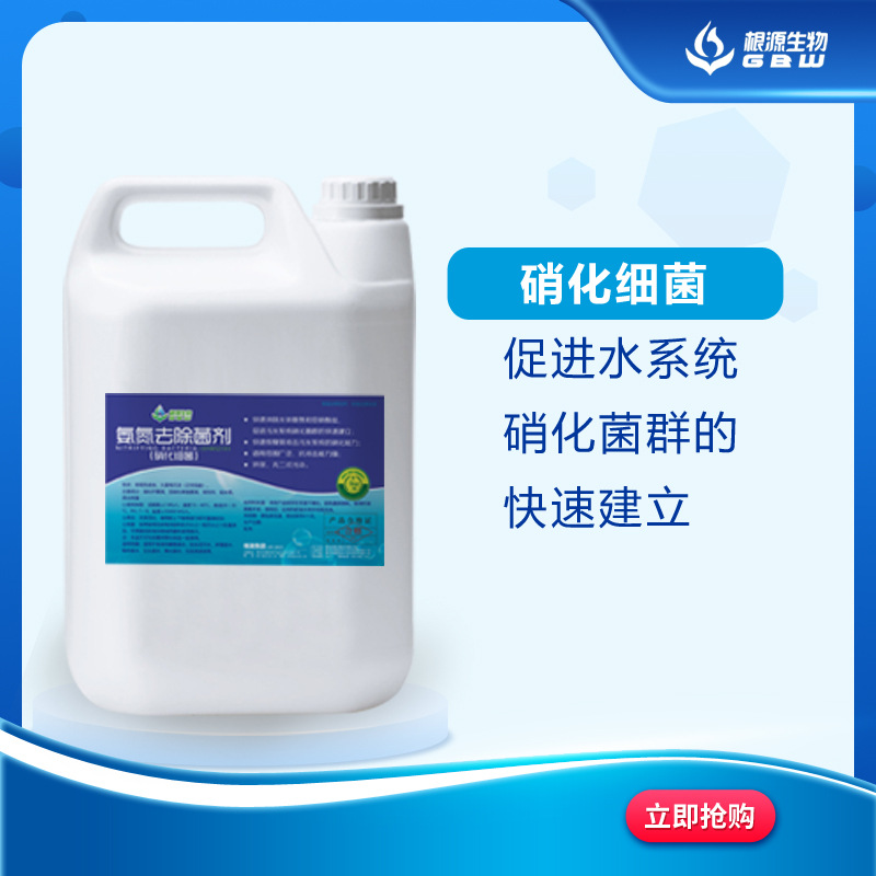 硝化细菌  降氨氮去亚硝  用于煤化工 工业 养殖 垃圾渗滤液