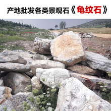 龟纹石假山石料批发 灵璧千层石 园林景观草坪点缀置石水系驳岸石