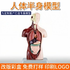 科教玩具;科学实验玩具;考古挖掘玩具