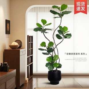 �й��L�Gֲ�������~�ſ͏d�p�ݸ߼��м٘�����Gɫֲ���҃��b�