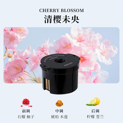 Car Perfume Aromatherapy: for Viewing Scenery and Mist - qingying-weiyang-1-incense-box