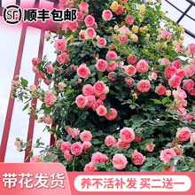 �ٱ��¼������ش󻨝���ͥԺֲ���҃Ȼ�������õ�������Nޱ�ļ��_