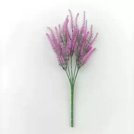 Red lotus