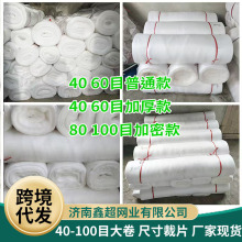 大棚蔬菜防虫网厂家加密加厚农用养殖网蝗虫果树果园整卷防虫网