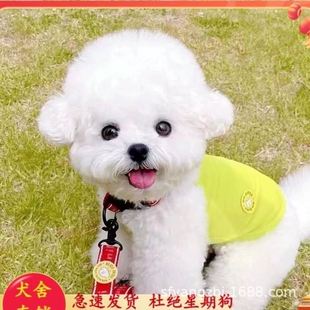 �������l���NС���n����ܼ��N�������pȮ��Ȯ���w����HȮ�豭��