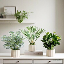 ���W�L����ֲ�������b[���͏d�҃��k���������辰�����ٻ��Gֲ