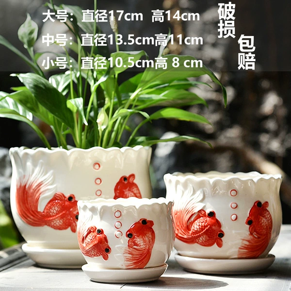 Three pieces of fish in the water basin