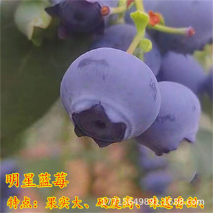 �{ݮ���箔��Y�� �����{ݮ�{�����{ݮ�� ͥԺ�����{ݮ����Y����