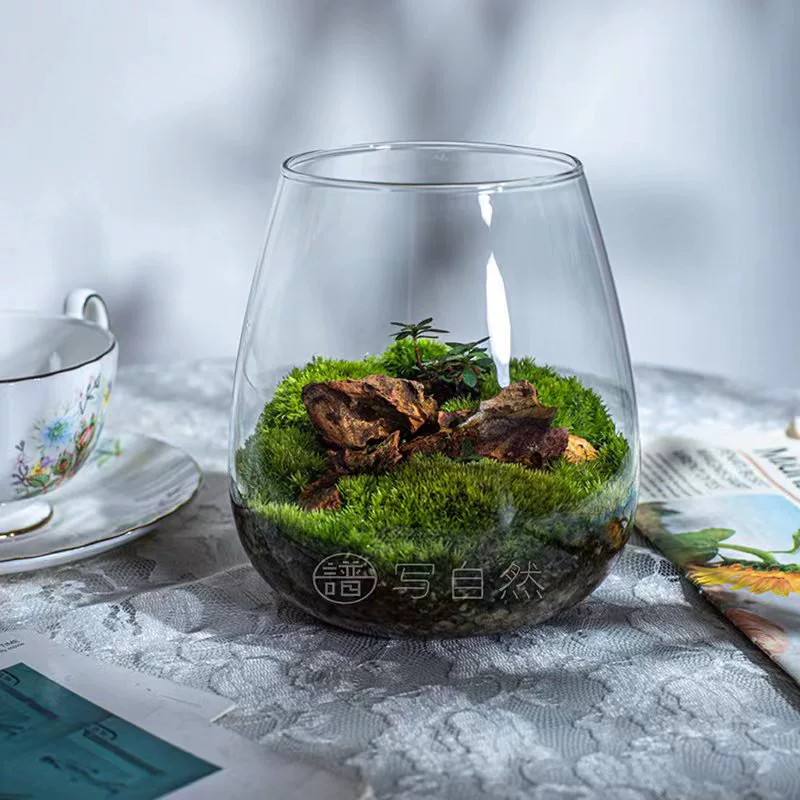 Моховое растение, микропейзаж, стеклянная бутылка, экологическая бутылка, офисный стол, креативные зеленые растительные украшения, сделай сам, стеклянная бутылка с пейзажем