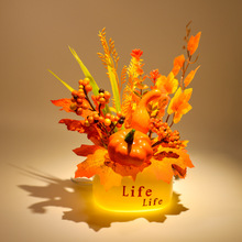 �＾�S�չ�����ֲ���辰Сҹ���羳�ж����Ҿӹ��՚���b[��