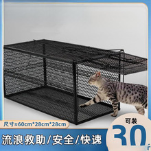 全自动捕猫笼捉猫笼抓猫笼特大号新款野猫流浪猫宠物猫家猫救助笼