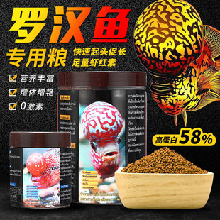 ̩���M���_�h�~��ω����^С�w���������^���^��ɫ�Ꭷ�~�W�^�~ʳ