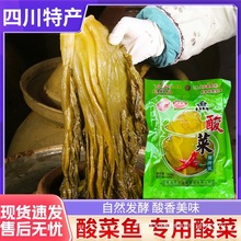 Ĵݲω~400gb~ˏN{ζû