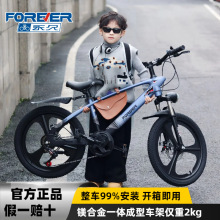 永久超轻镁合金儿童自行车6-12岁中大童女男孩学生变速减震山地车