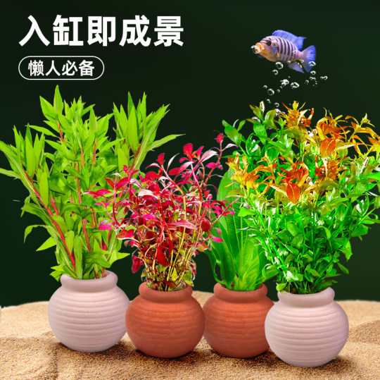 Pottery Pot Fixed Water Grass Fish Tank Landscape Ornaments Water Grass Planting Ring Pottery Pot Ceramic Water Grass Sink Bottom Ring New Hand