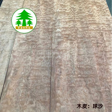 ȾɫľƤ ɳ  yľˇƷľ N