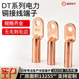 加厚压制电力接线端子 压接一体DT铜鼻子 设备配电缆紫铜铜鼻子dt