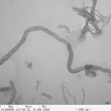 德科岛金DKnano 截断0.5-2um短切碳纳米管