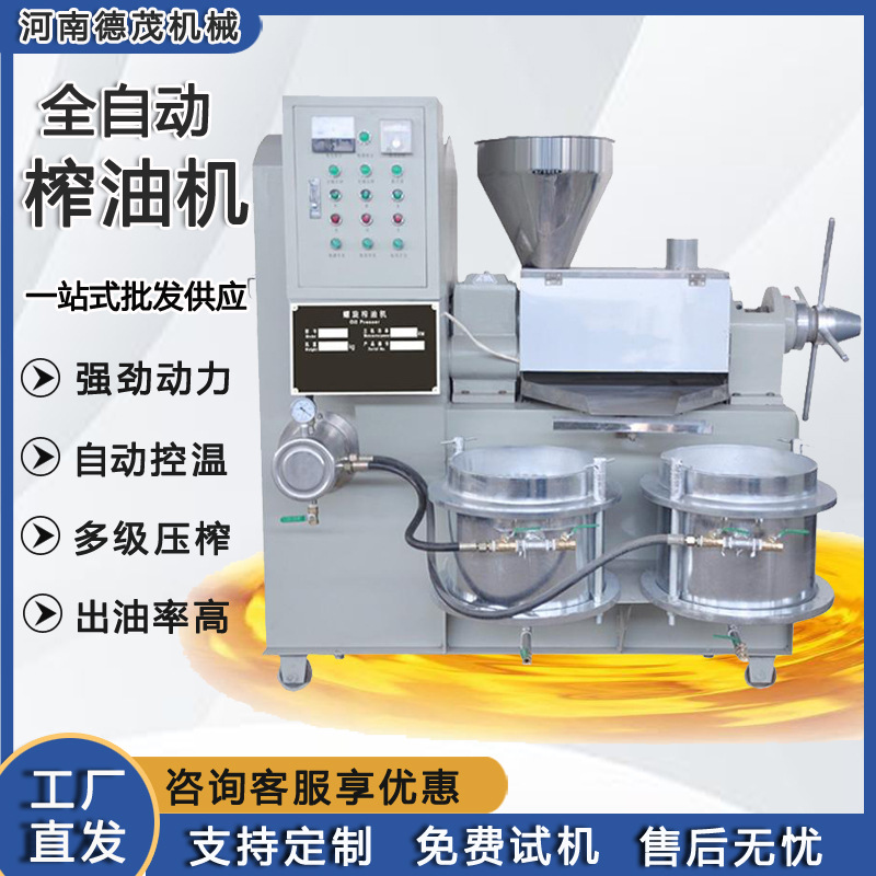 榨油机商业用大型不锈钢榨油机全自动小型家用花生核桃榨油机设备