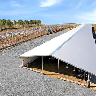Steel Structure chicken coop export production prefabricated agricultural poultry steel structure House is cheap chicken coop