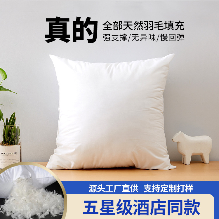 抱枕芯床头腰靠纯棉羽毛抱枕内胆沙发靠枕垫定制腰垫靠背cushion